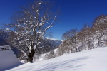 DSC00052