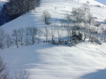 DSCN0331