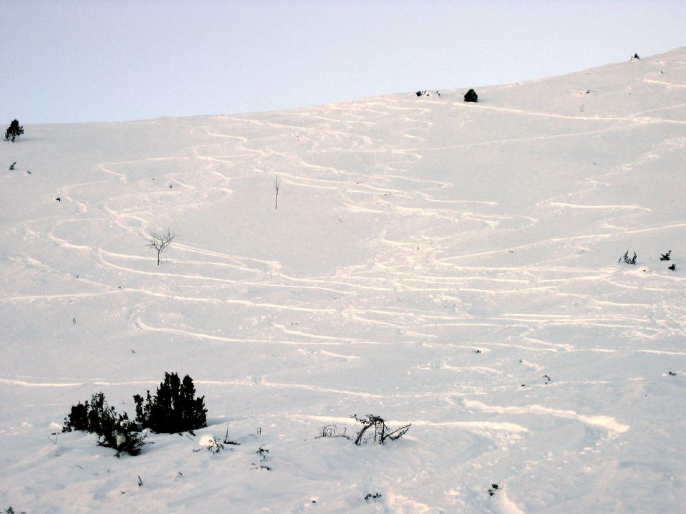 Cap de Laubère - 26