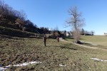 Capdelaubère - 56