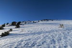 Closos - 29