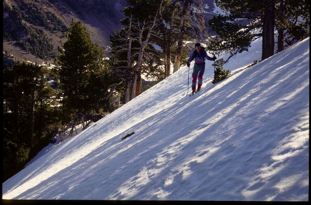 Dent d'Albe 1995 - 2