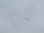 DSCN2189