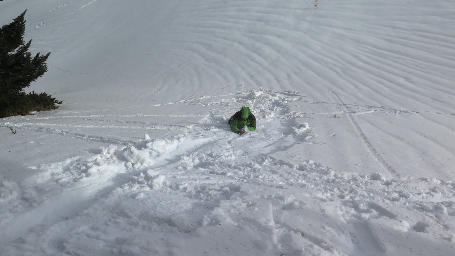 Neige - 04