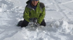 Neige - 08
