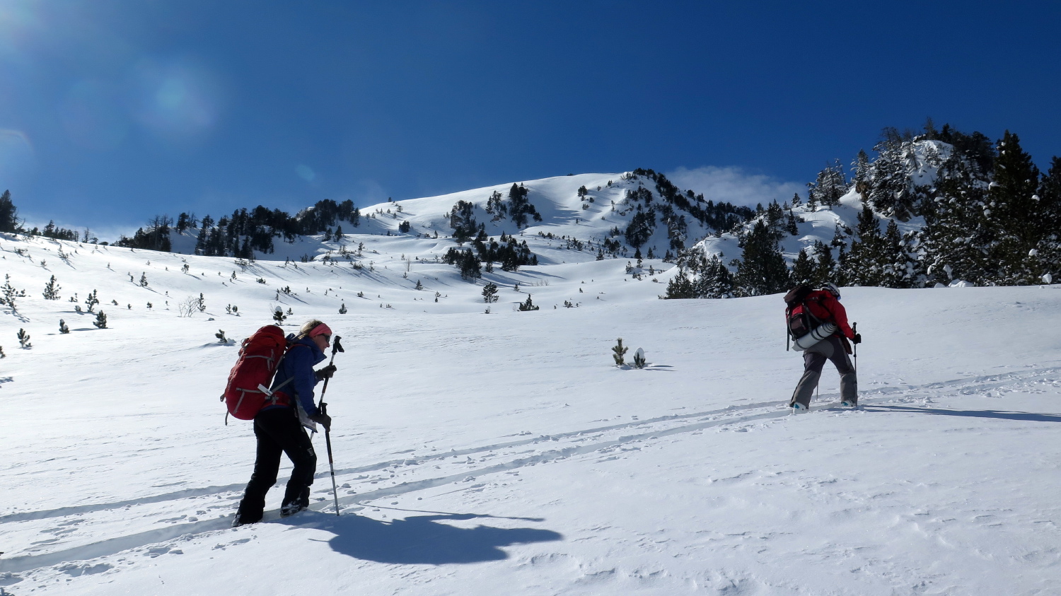 Espiaube-Aubert - 33
