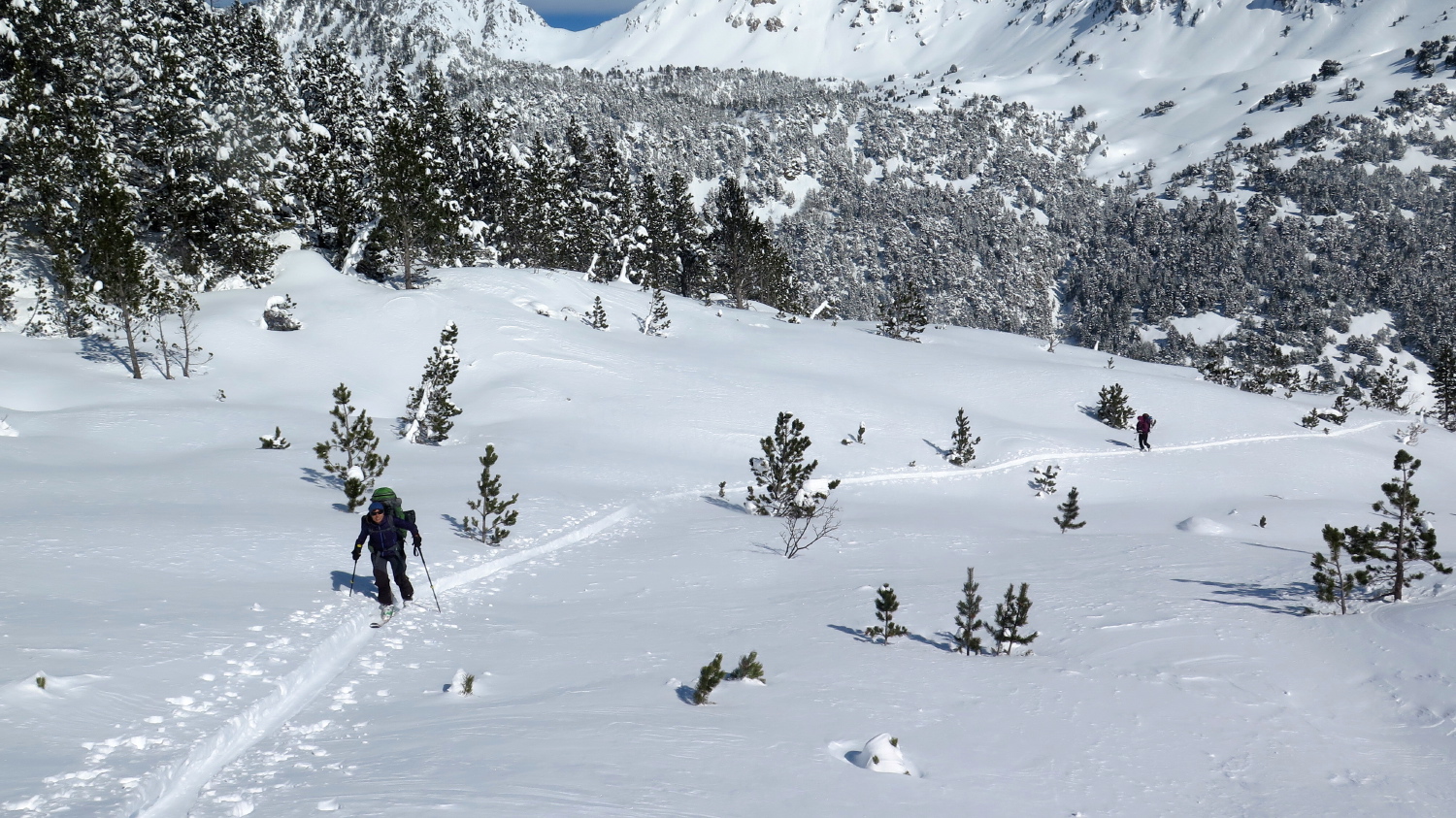 Espiaube-Aubert - 34