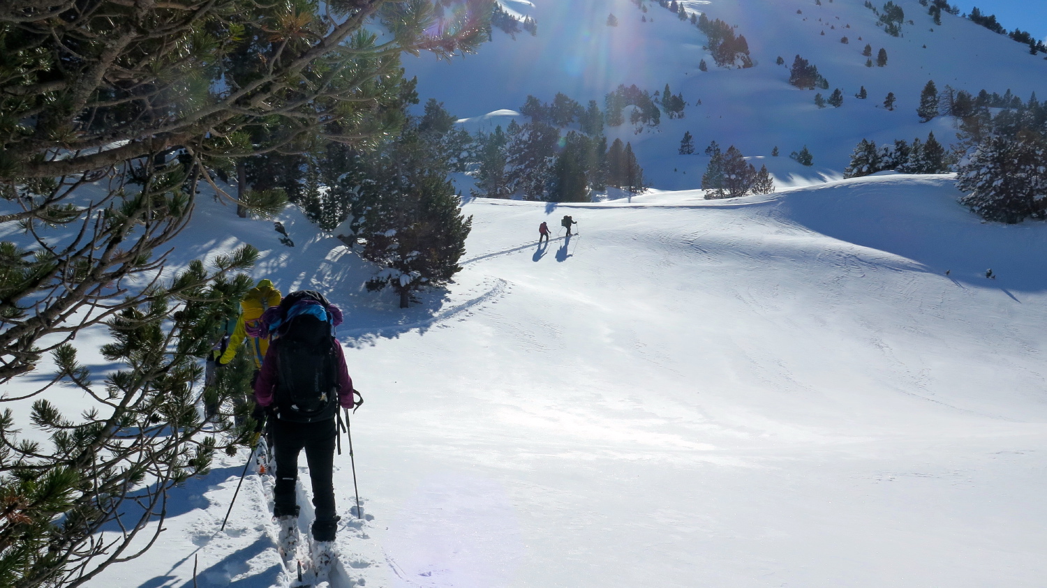 Espiaube-Aubert - 48