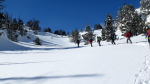 Espiaube-Aubert - 37