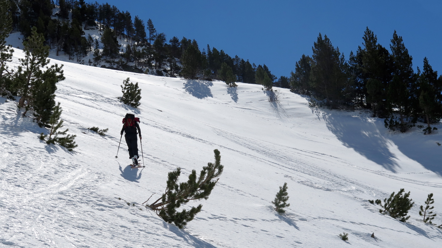 Font Blanca - 07