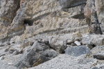 Gavarnie-Goritz - 38