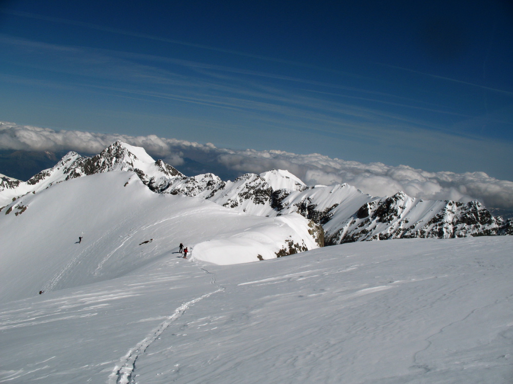 Gourgs Blancs - 24