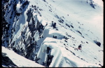 Grand Barbat - 3