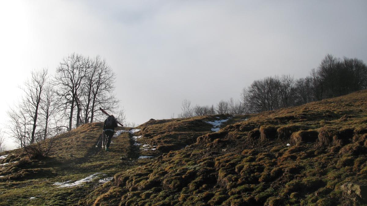 Hitte Mont - 01