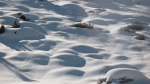 Hitte Mont - 06
