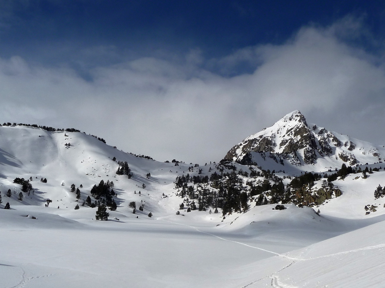 Hourq.de Nere - 36