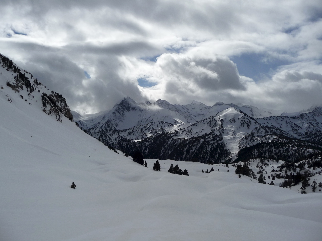Hourq.de Nere - 37