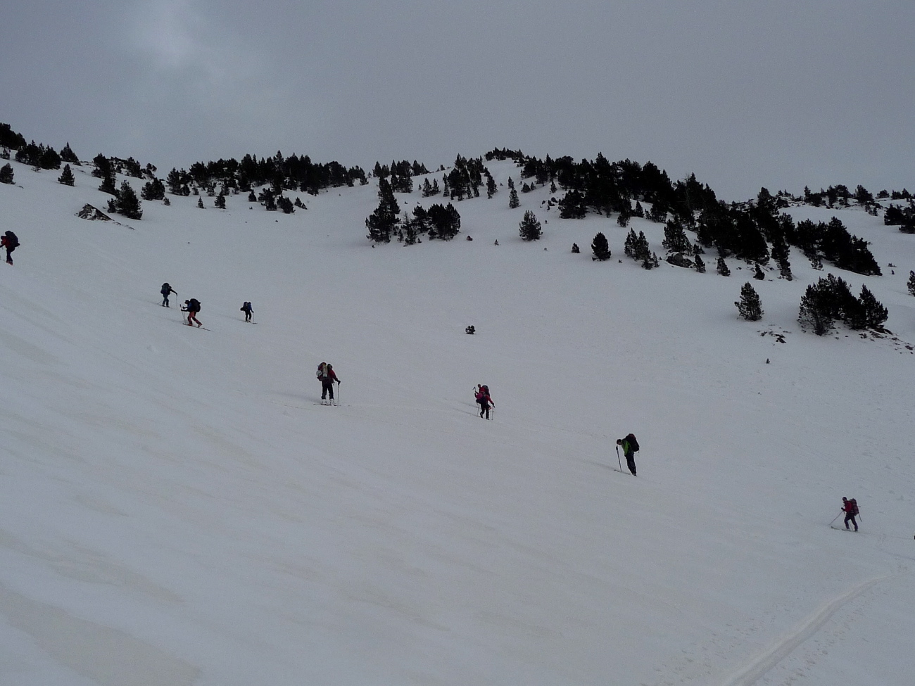 Hourq.de Nere - 39