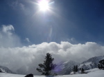 Hourq.de Nere - 20