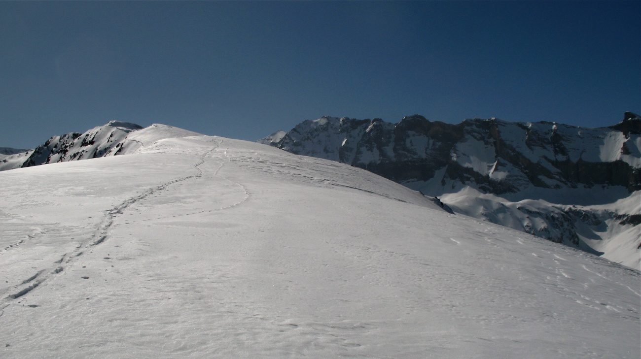Aiguillettes - 36