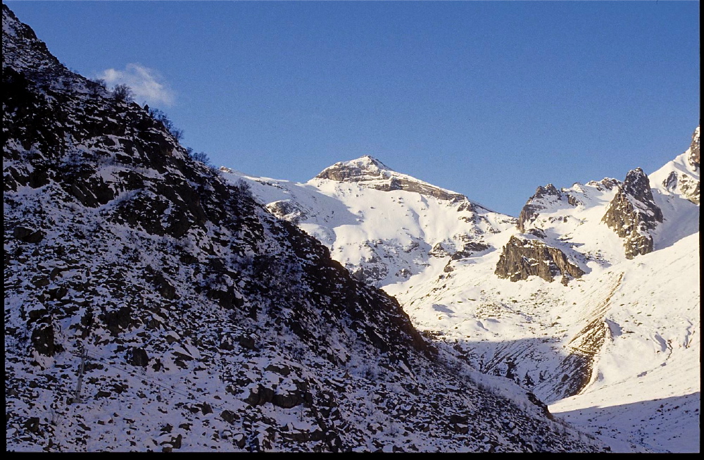 Piau-Lenquo de Capo - 5