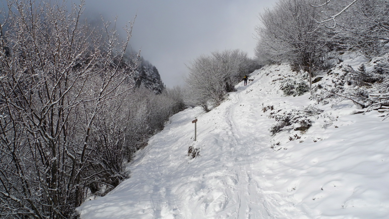 Monfaucon - 05