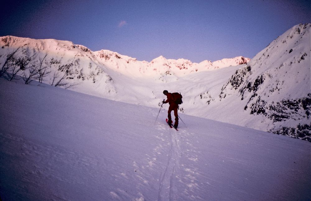 Montcalm - 3