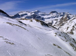 Munia - 14