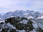Munia - 18