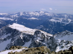 Munia - 21