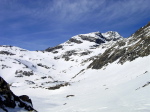 Munia - 27