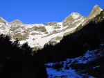 Munia - 05