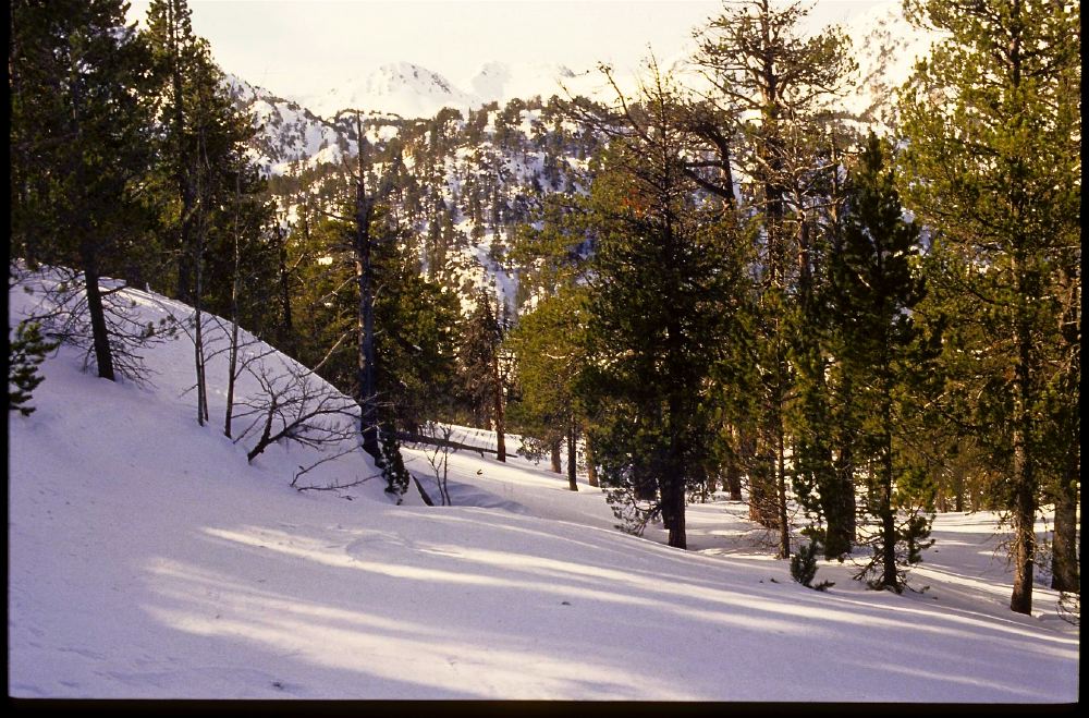 Néouvielle 94 - 03