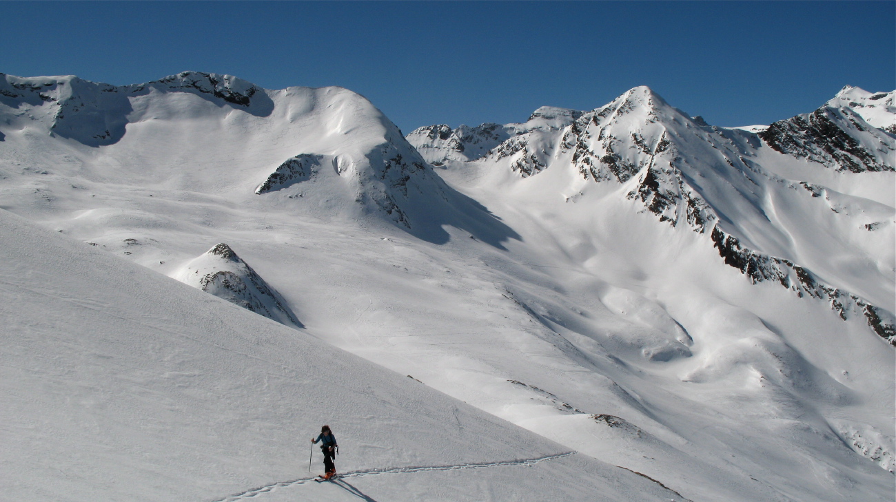 Peine Abeillère - 14