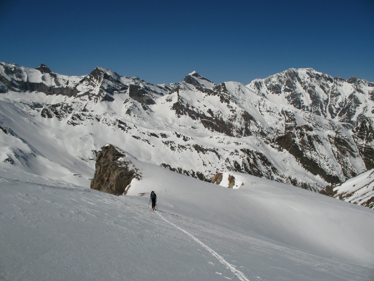 Peine Abeillère - 19