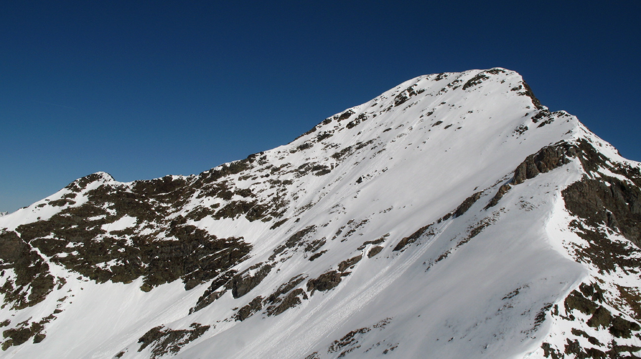Peine Abeillère - 31