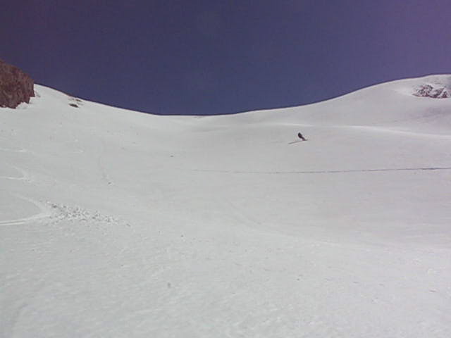 Peine Abeillère - 42