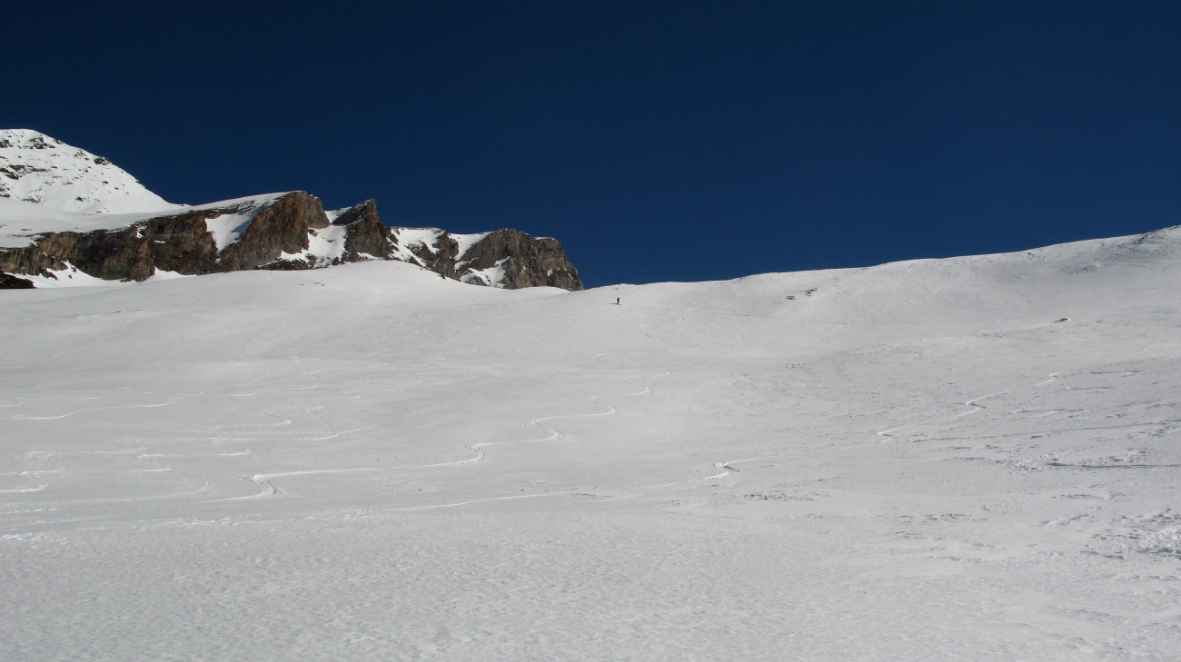 Peine Abeillère - 46