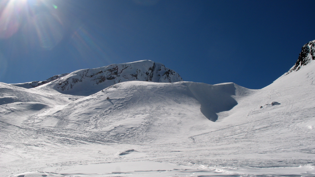 Peine Abeillère - 05