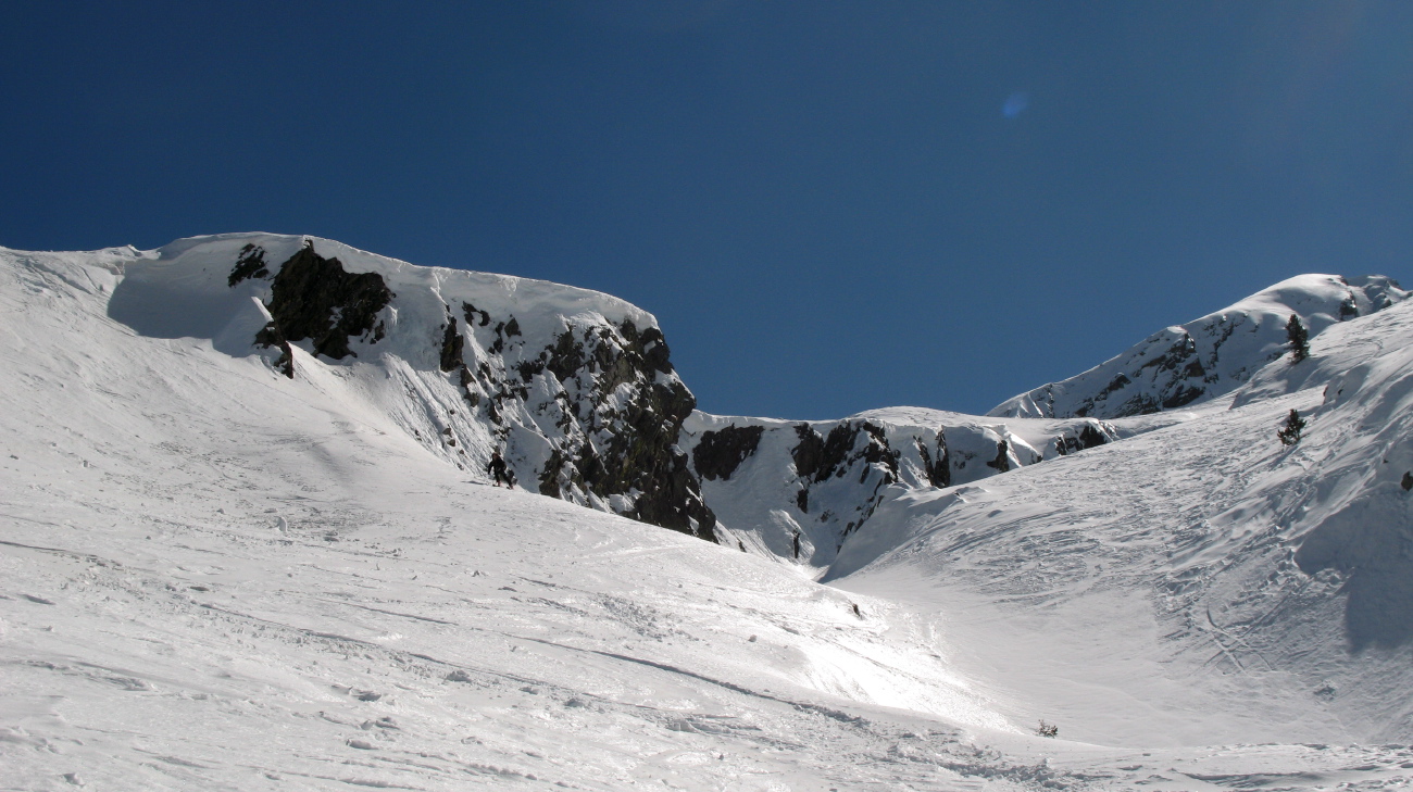 Peine Abeillère - 50