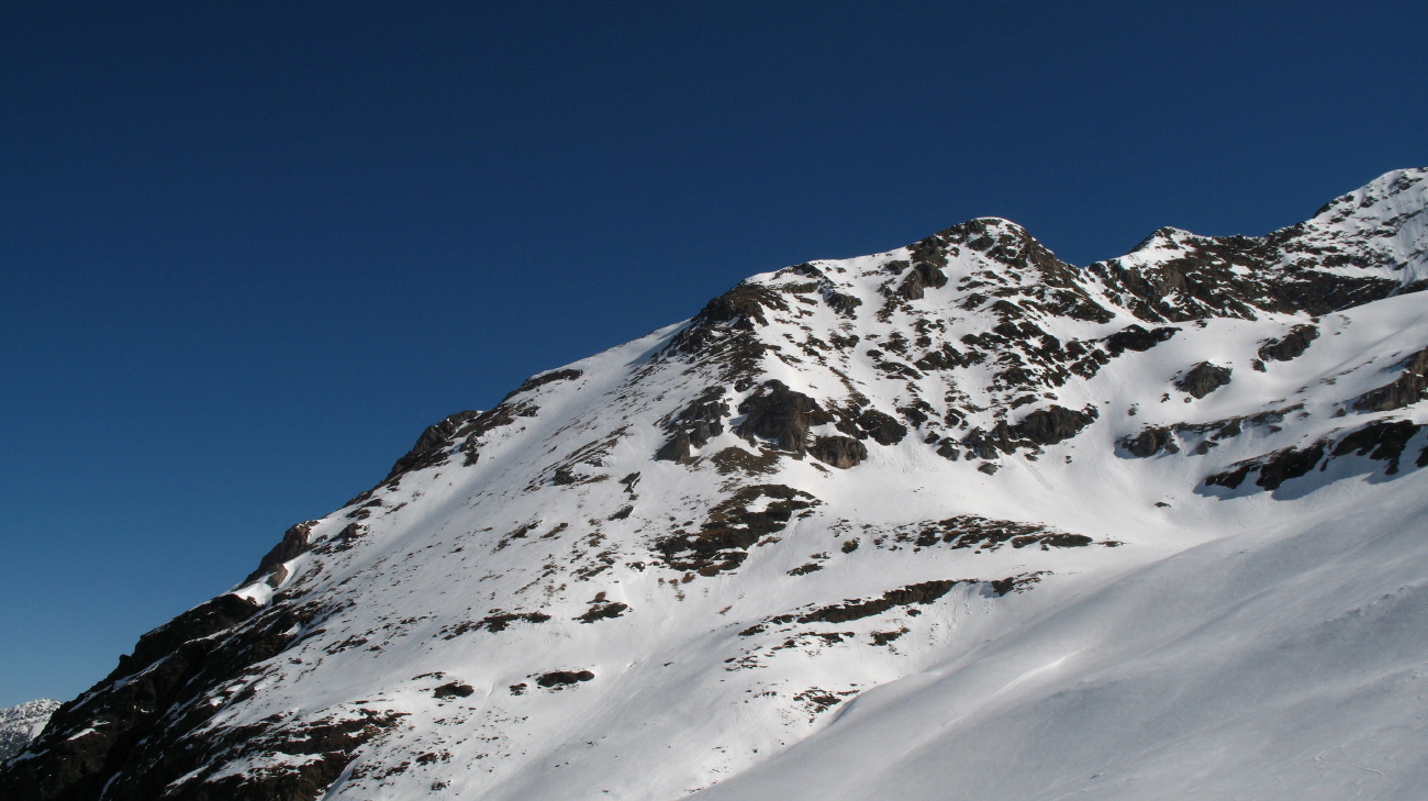 Peine Abeillère - 06