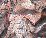 Peine Abeillère - 01