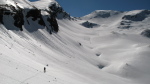 Peine Abeillère - 11