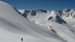 Peine Abeillère - 16