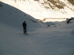 Peine Abeillère - 03