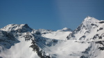 Peine Abeillère - 32