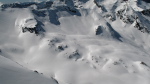 Peine Abeillère - 35