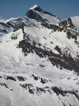 Peine Abeillère - 37