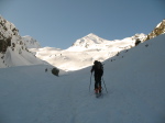 Peine Abeillère - 04