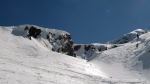 Peine Abeillère - 50